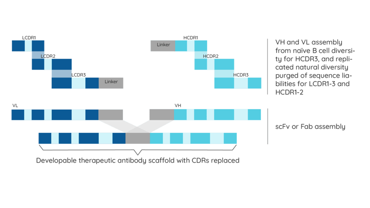 CDRs-Figure_01-1